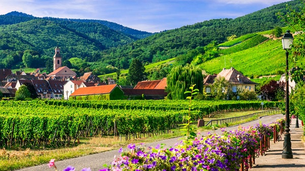 Billede til nyheden Tilbud fra Billetsalget